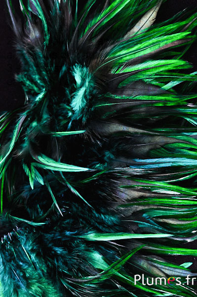 Coq flammé - 10-15 cm - vert